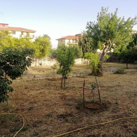 Ferienwohnung Modica Relax Garden Exterior foto